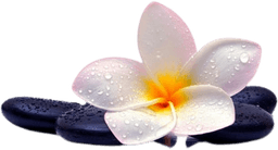Thai Massage